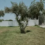 Despoina Paphos