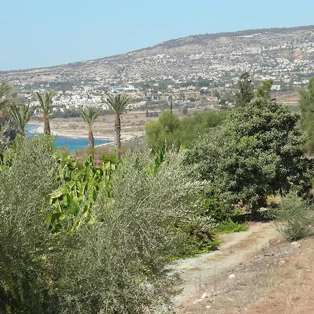 Despoina Villa *