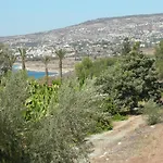 Despoina Villa *