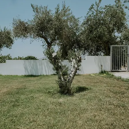 Despoina Paphos